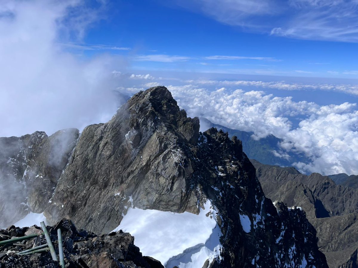 InfoNile tweet media