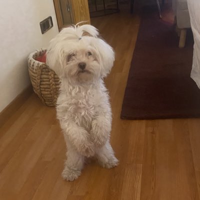 Figulito's tweet photo. #NuevaFotoDePerfil https://t.co/pNwpzcxjnZ