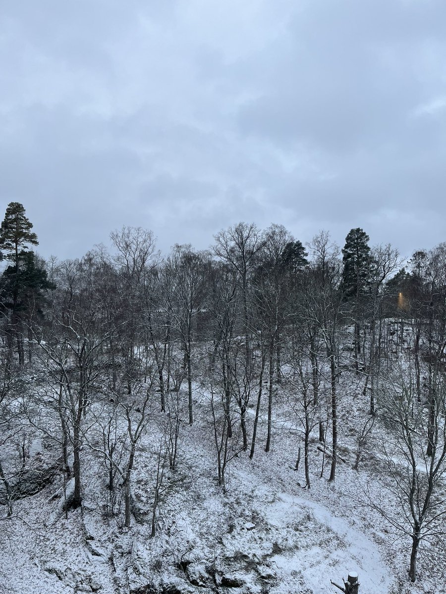 Finally the miserable darkness of autumn is over giving way to the temporary snow of winter.