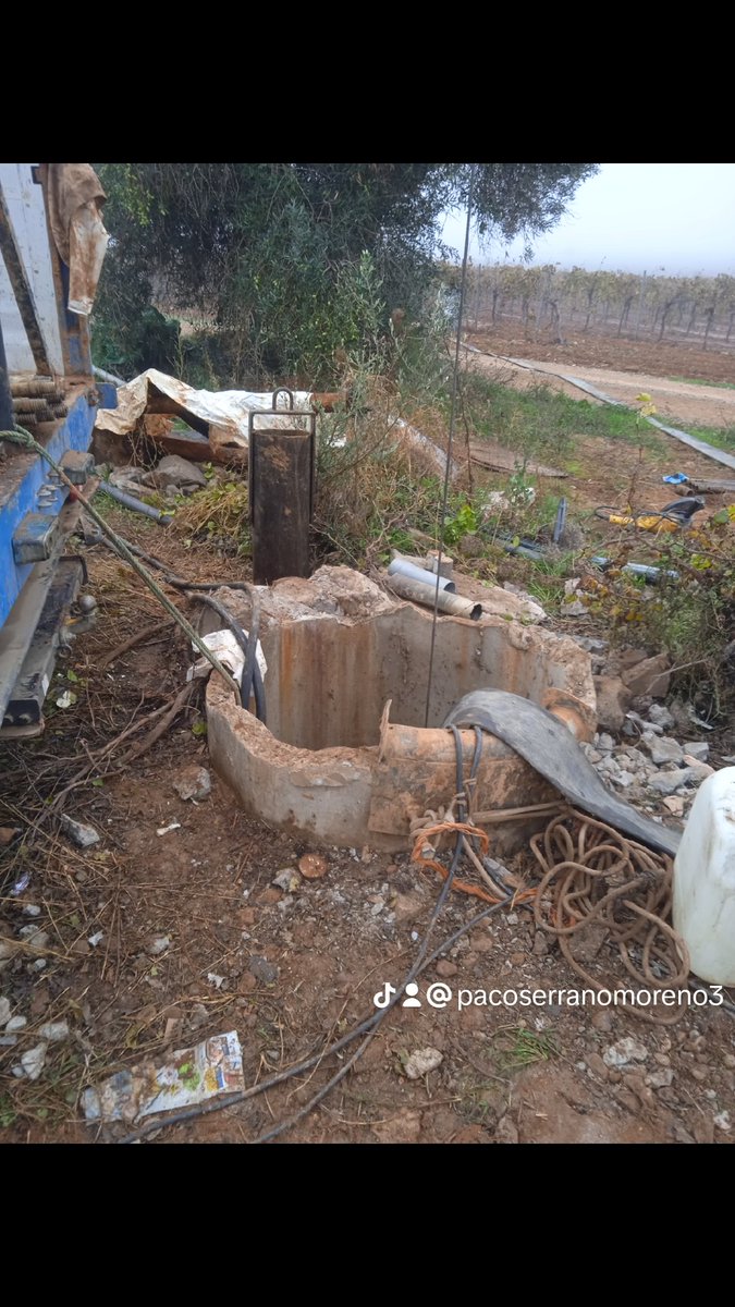 Paco Serrano moreno (@pacoserranomor1) on Twitter photo 