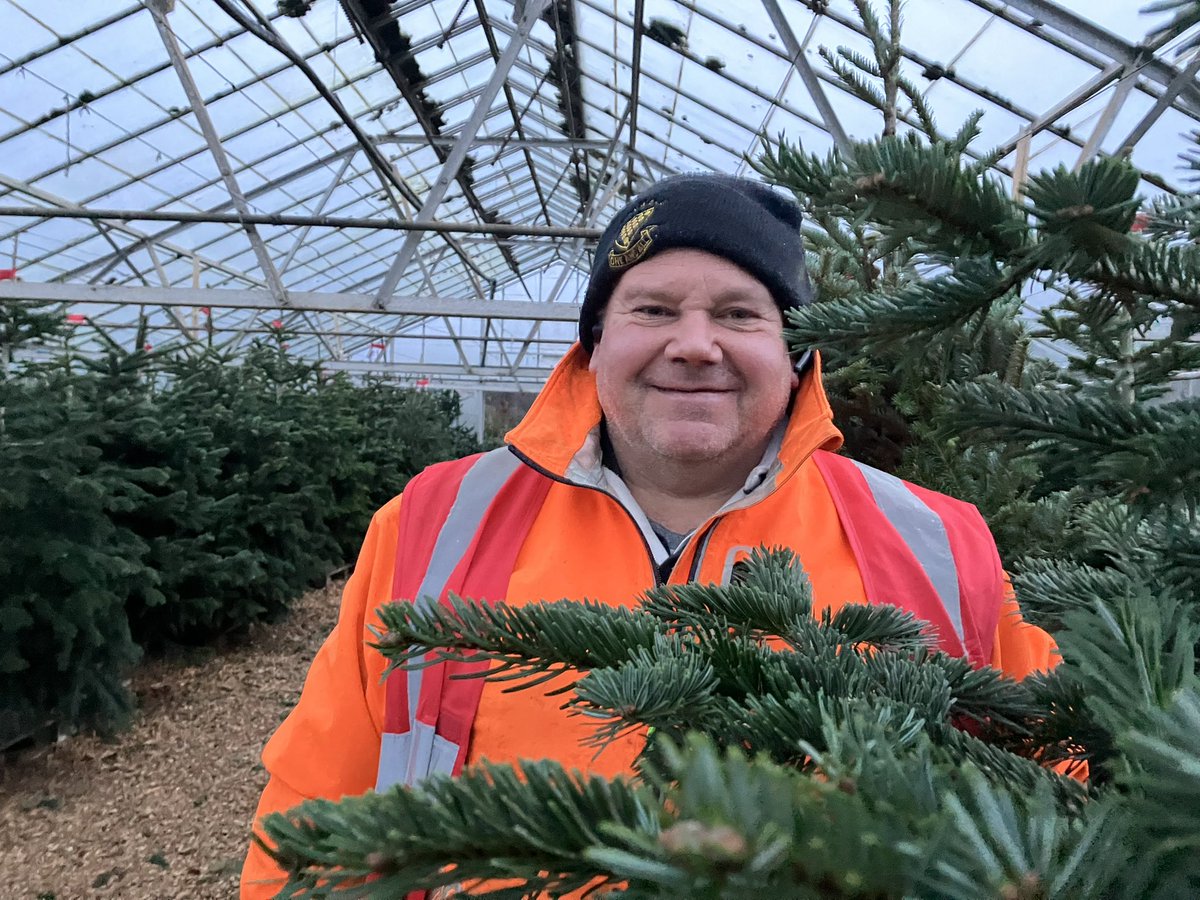 Christine Butler (@cbutlerbbc) on Twitter photo In amongst the Nordamnn Christmas Tree with Mark Orchard at CedarCroft Nurseries between St Tudy and Bodmin where the smell of Christmas is a beautiful thing <a href="/BBCCornwall/">BBC Cornwall</a> In amongst the Nordamnn Christmas Tree with Mark Orchard at CedarCroft Nurseries between St Tudy and Bodmin where the smell of Christmas is a beautiful thing <a href="/BBCCornwall/">BBC Cornwall</a>