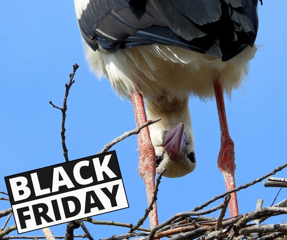 PassAlsace's tweet photo. Dernier jour pour profiter d’une réduction de 35% sur l’achat de vos #PassAlsace sur notre boutique en ligne avec le code promo "blackweek35" ! Vous avez jusqu'à ce soir minuit ! 

➡️Boutique en ligne : https://t.co/1HRXS6UlDN 
#Alsace #VisitAlsace https://t.co/H5bfaFX1Vf