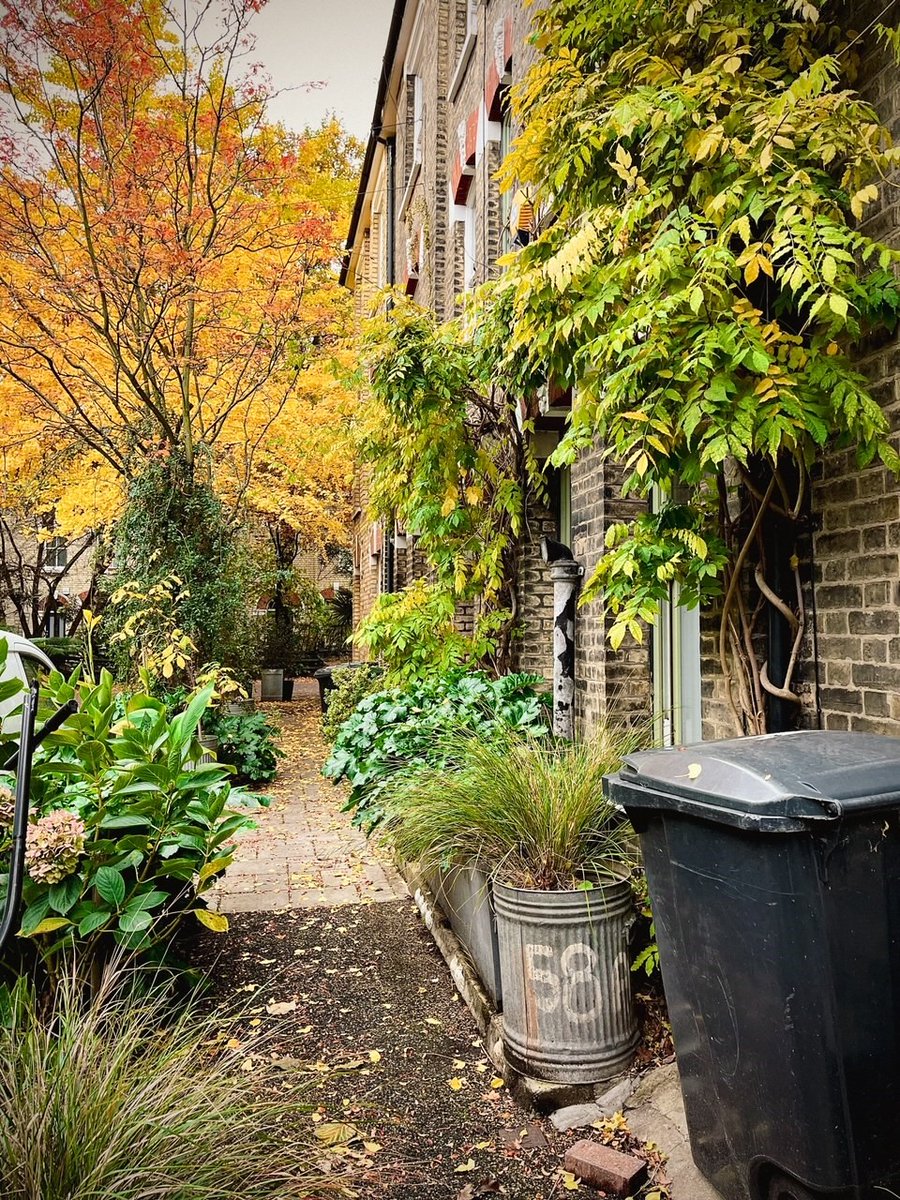 TreesforStreets's tweet photo. Trees and nature can completely transform our streets. If we allow them to.

We were enchanted by this stunning street in the back roads of Vauxhall, S London, where the community has embraced a greener way of life.

All streets deserve trees!
#NationalTreeWeek #BonningtonSquare https://t.co/YBGlj6WmoZ