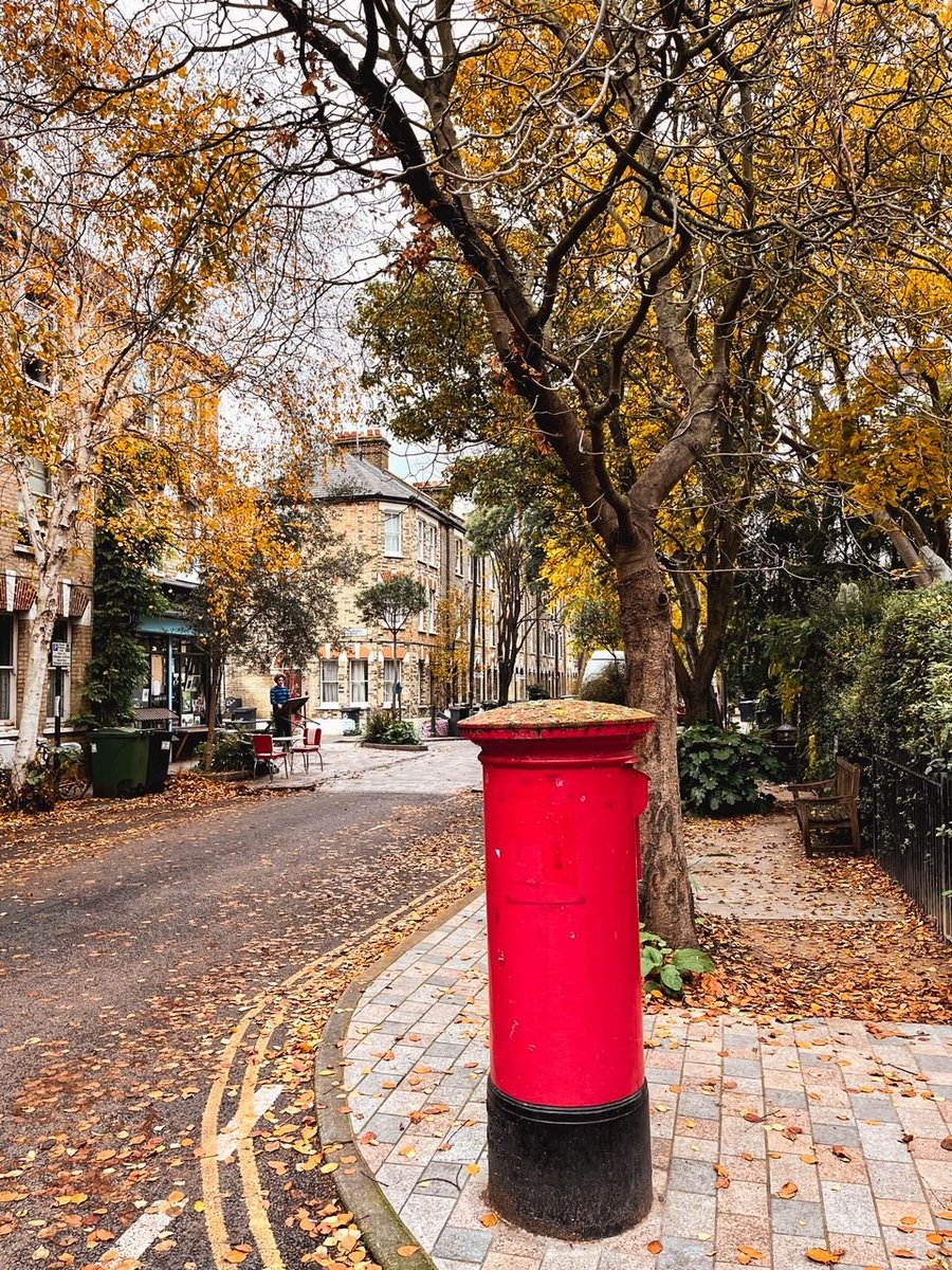 Trees and nature can completely transform our streets. If we allow them to.

We were enchanted by this stunning street in the back roads of Vauxhall, S London, where the community has embraced a greener way of life.

All streets deserve trees!
#NationalTreeWeek #BonningtonSquare