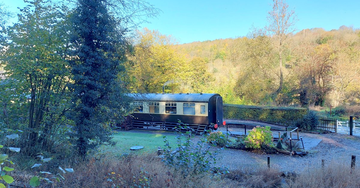 CoalportStation's tweet photo. Celebrate #NationalTreeWeek from Nov 25 - Dec 3, 2023! Join the UK's biggest tree-planting initiative. At #CoalportStation, surrounded by nature, we ponder the trees around us. ๐ณ๐๏ธ How many trees can you spot? ๐ค
#Nature #TreePlanting #treelovers #IronbridgeGorge #severngorge https://t.co/TV0Nr4Cfkd