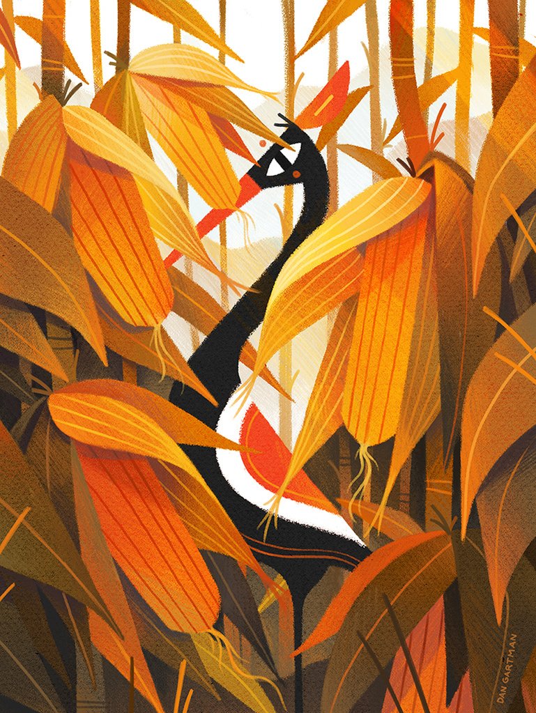 DAN Gartman tweet media