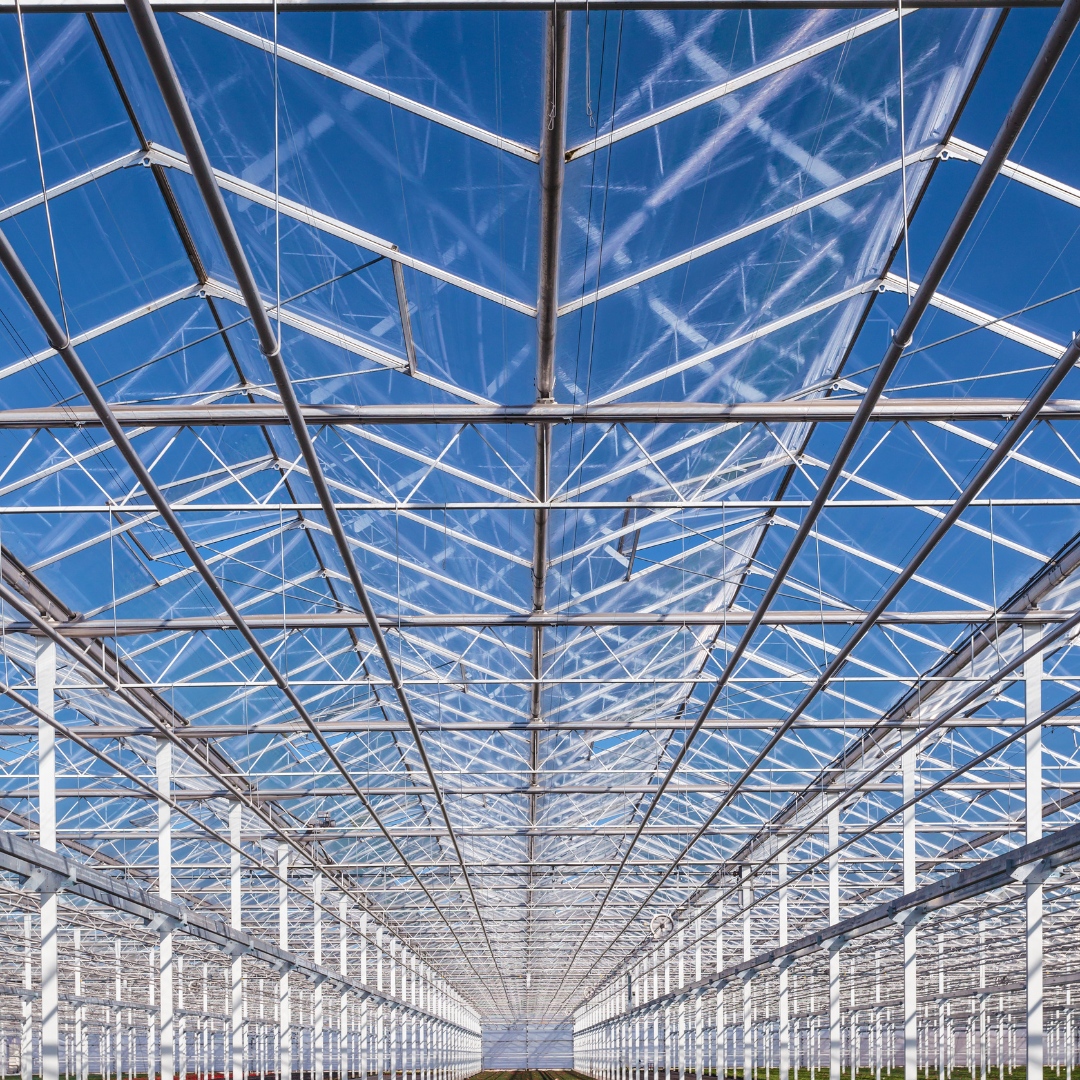 certis_belchim's tweet photo. Good hygiene practices around the nursery; don't take any risks! Jet 5 will ensure the space is clear from pathogens, so any nasty surprises are greatly reduced. #Jet5 #FarmingUK #Farm https://t.co/bjTtzPMzZv