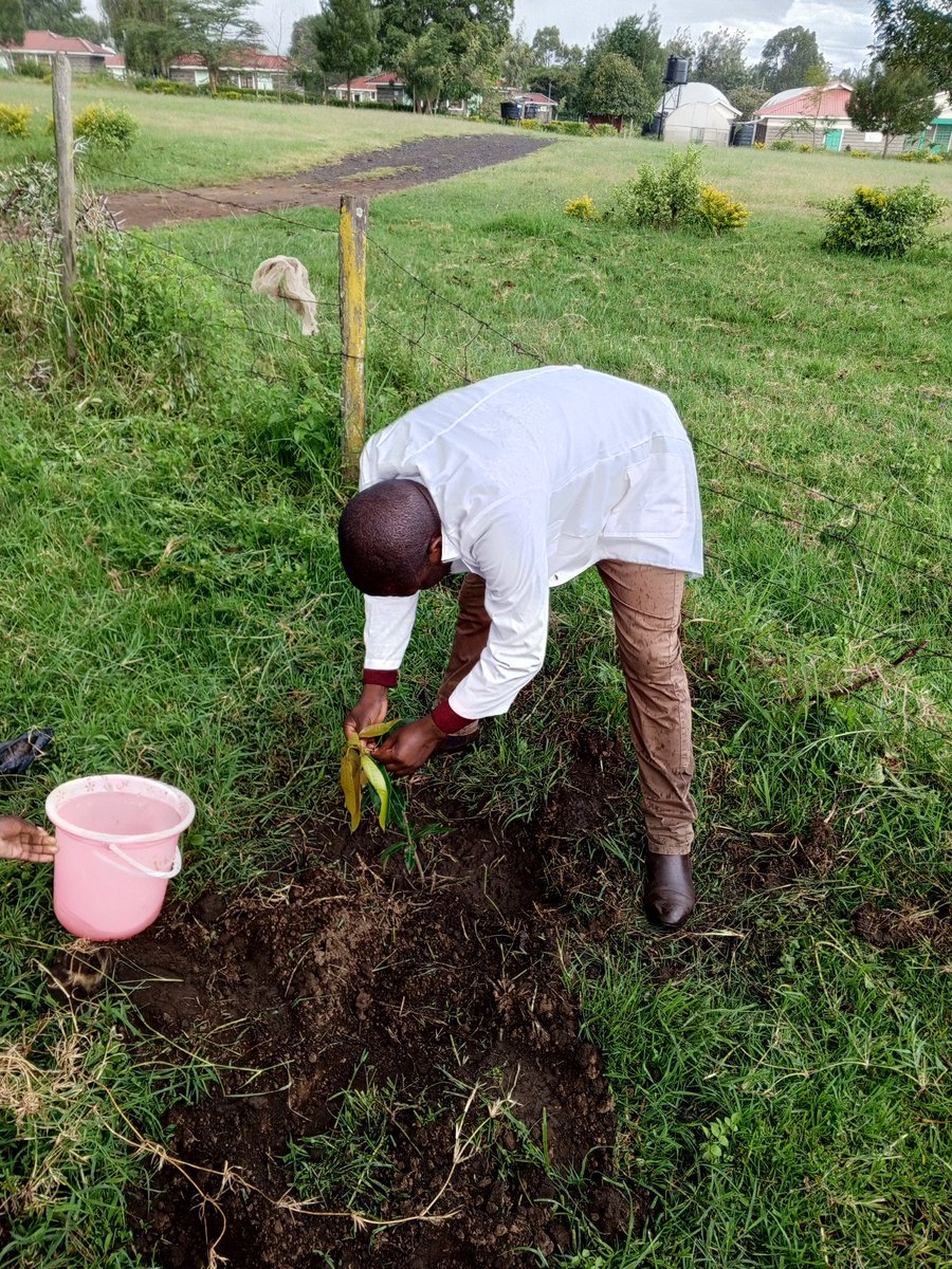 Rooting for a greener future. Our recent tree planting venture is a testament to our commitment to a healthier planet.

Pinewood Beach Resort, El Nino,  #Nakuru #Eldoret Naivasha Kisumu Nyeri
