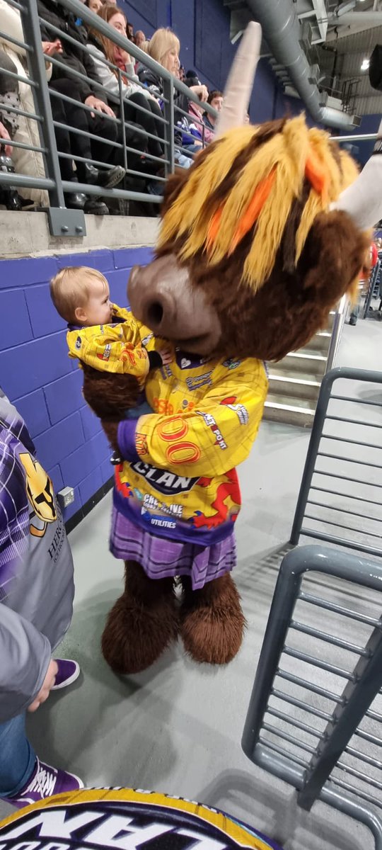 Sam_Currie's tweet image. I can't describe how happy it makes me that Alyssa loves @Clangus00! Not an ounce of fear and literally reaches out to him 💜 thank you for being the best mascot 🐮 @ClanIHC @GCHaggis