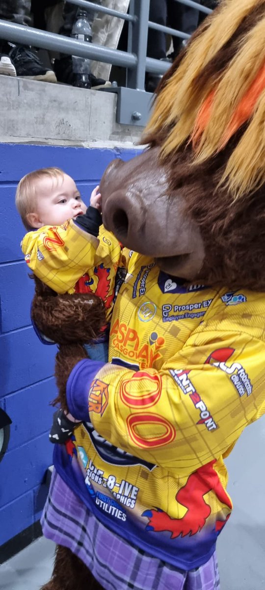 Sam_Currie's tweet image. I can't describe how happy it makes me that Alyssa loves @Clangus00! Not an ounce of fear and literally reaches out to him 💜 thank you for being the best mascot 🐮 @ClanIHC @GCHaggis