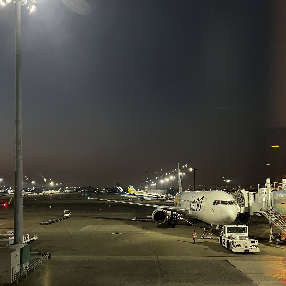 manatybear's tweet photo. ちゃんと飛んだよ✈️ バイバイまたね👋
#bpmCL https://t.co/FAQWFGI6mA