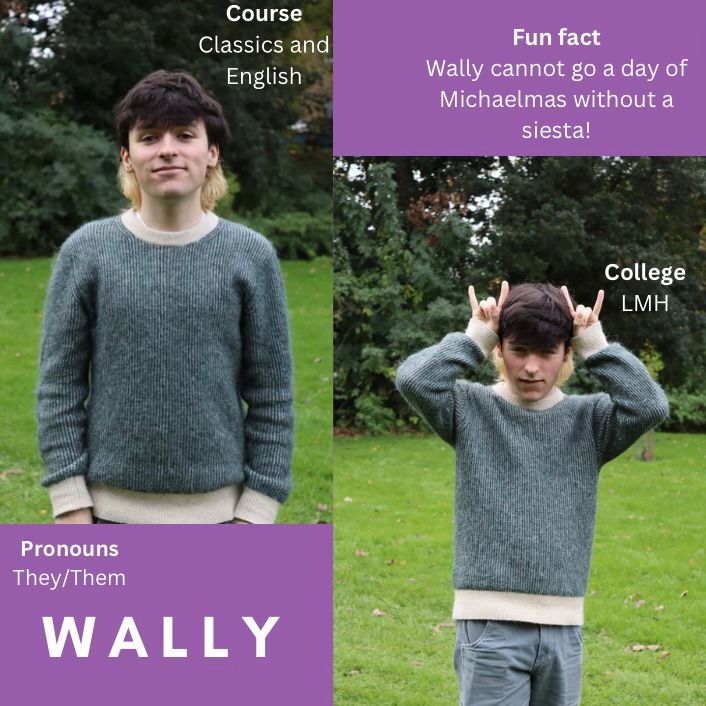 The Oxford Alternotives tweet media