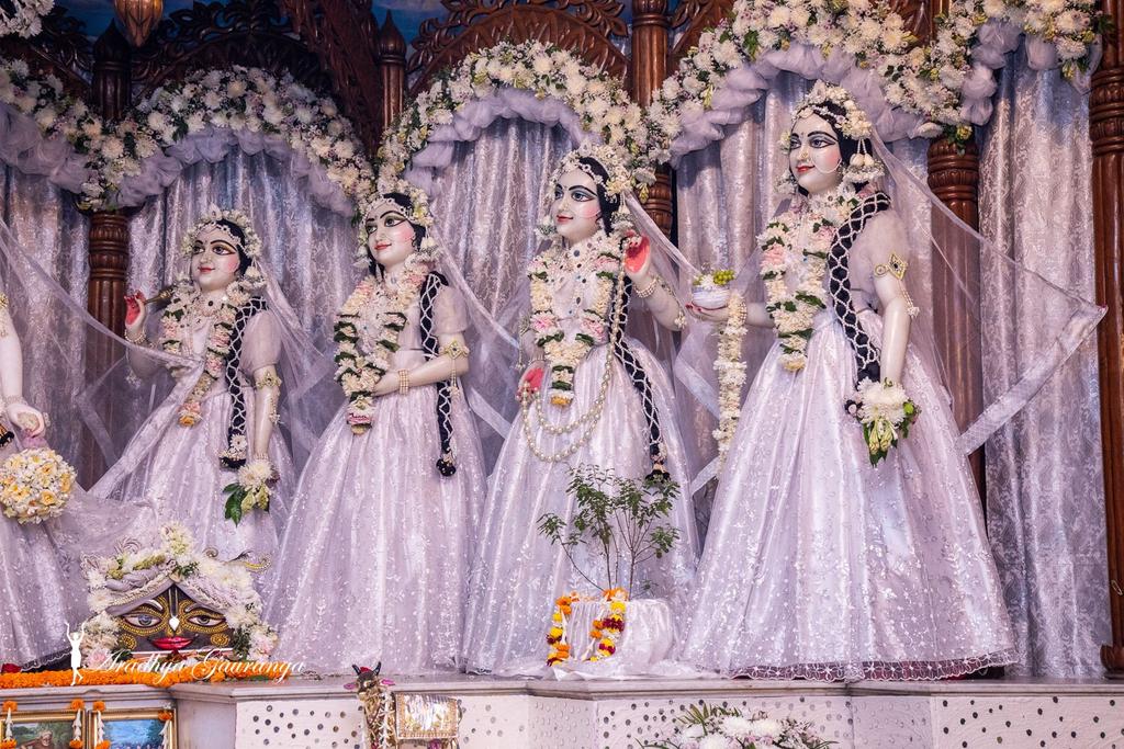 manikdas1001's tweet photo. শ্রীঅঙ্গ, শ্রীমুখ যেই করে দরশন।
তার পাপক্ষয় হয়, পায় প্রেমধন।। চৈ.চ আদি ৩/৬৪ 
Sringar Darshan of Lord Radhamadhav and Ashtasakhi's at Iskcon Mayapur Chandrodaya Mandir 💓শ্রীধাম মায়াপুর ইস্কন মন্দিরের শ্রী শ্রী রাধা গোবিন্দ ও অষ্টসখীর https://t.co/iUb7kemkZH