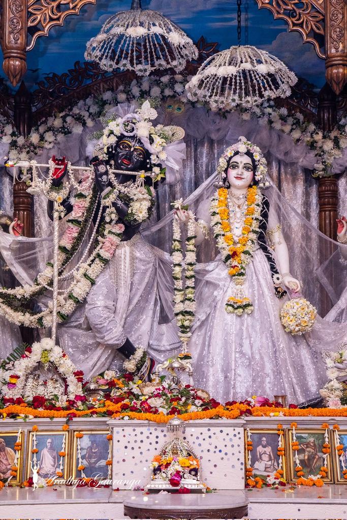 manikdas1001's tweet photo. শ্রীঅঙ্গ, শ্রীমুখ যেই করে দরশন।
তার পাপক্ষয় হয়, পায় প্রেমধন।। চৈ.চ আদি ৩/৬৪ 
Sringar Darshan of Lord Radhamadhav and Ashtasakhi's at Iskcon Mayapur Chandrodaya Mandir 💓শ্রীধাম মায়াপুর ইস্কন মন্দিরের শ্রী শ্রী রাধা গোবিন্দ ও অষ্টসখীর https://t.co/iUb7kemkZH