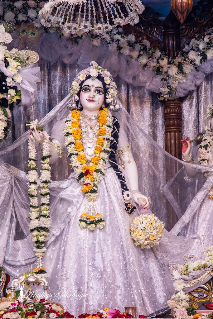 manikdas1001's tweet photo. শ্রীঅঙ্গ, শ্রীমুখ যেই করে দরশন।
তার পাপক্ষয় হয়, পায় প্রেমধন।। চৈ.চ আদি ৩/৬৪ 
Sringar Darshan of Lord Radhamadhav and Ashtasakhi's at Iskcon Mayapur Chandrodaya Mandir 💓শ্রীধাম মায়াপুর ইস্কন মন্দিরের শ্রী শ্রী রাধা গোবিন্দ ও অষ্টসখীর https://t.co/iUb7kemkZH