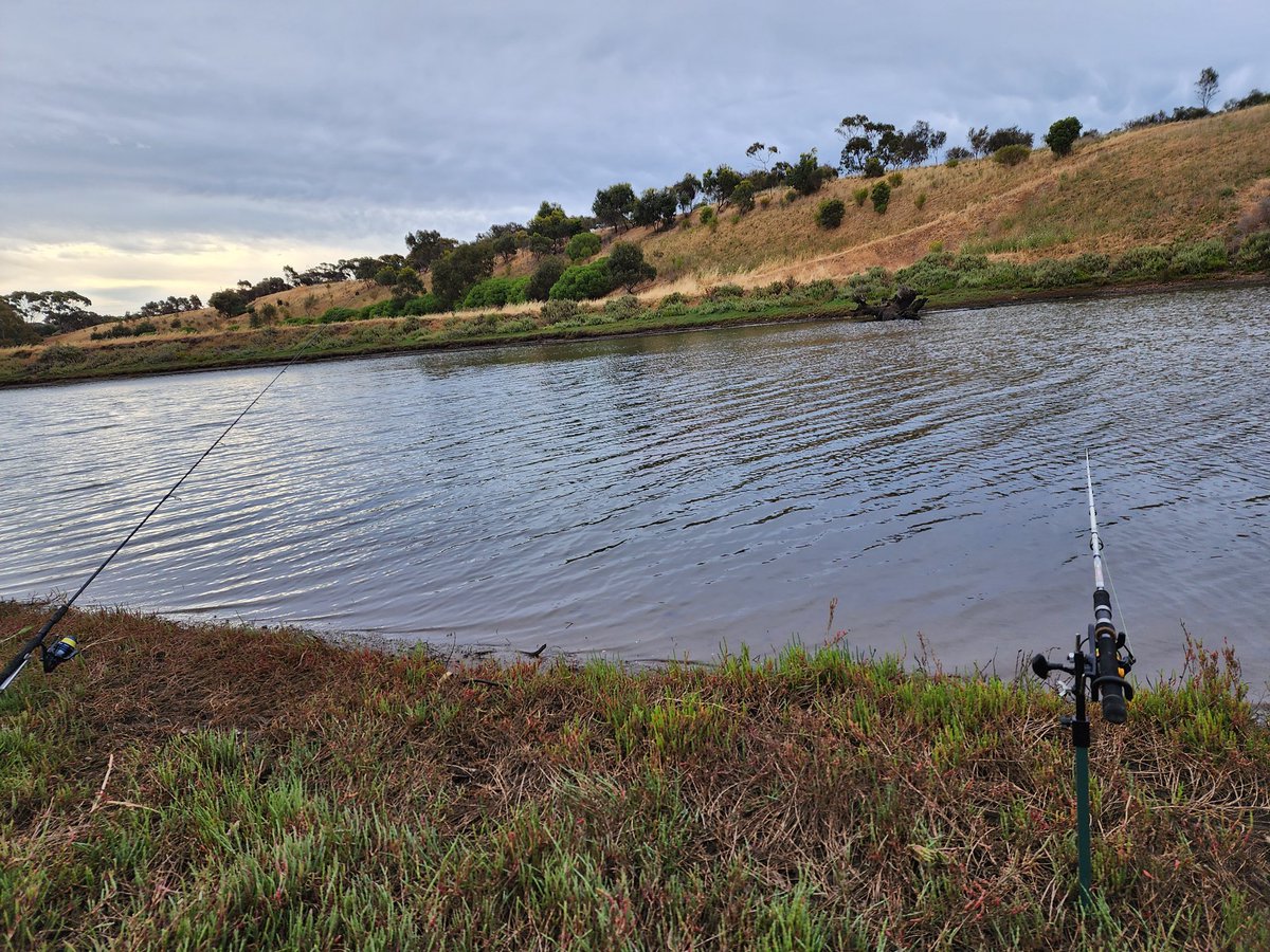 RooshyIncognito's tweet photo. #fishing #mulloway https://t.co/8JOqHa5kj3