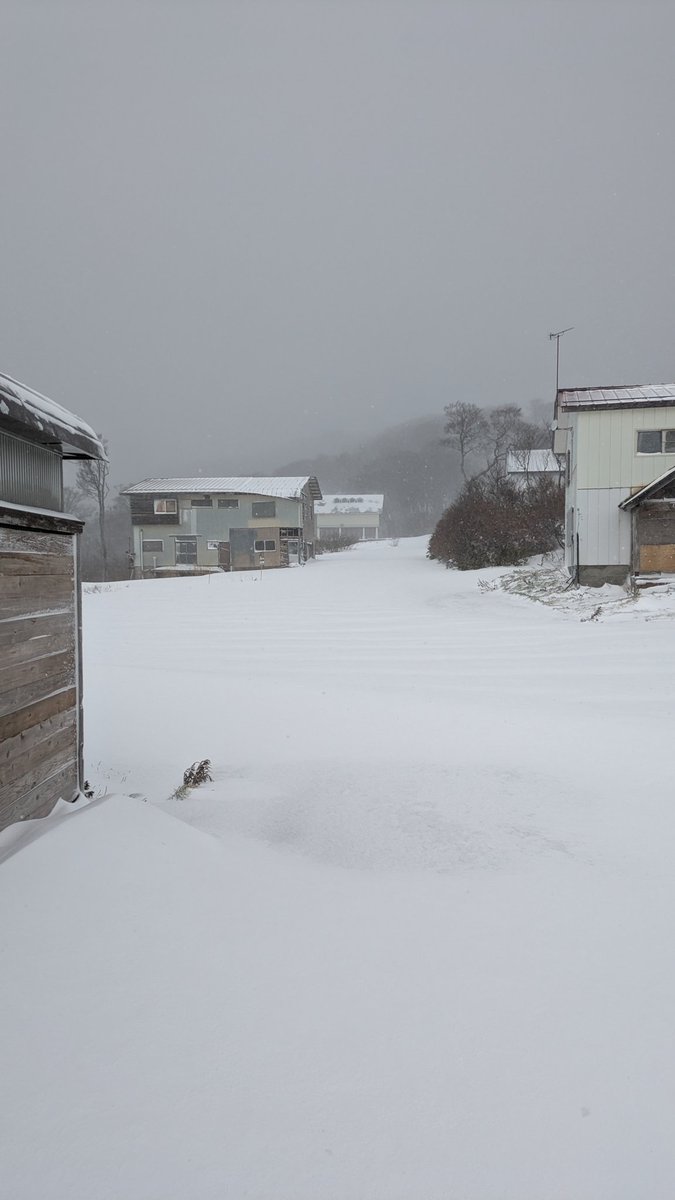 sachi_2012's tweet photo. 雪が積もったということで初滑りしてきました。
今シーズンも靴擦れとの戦いがはじまる https://t.co/0f6U0Sig2X