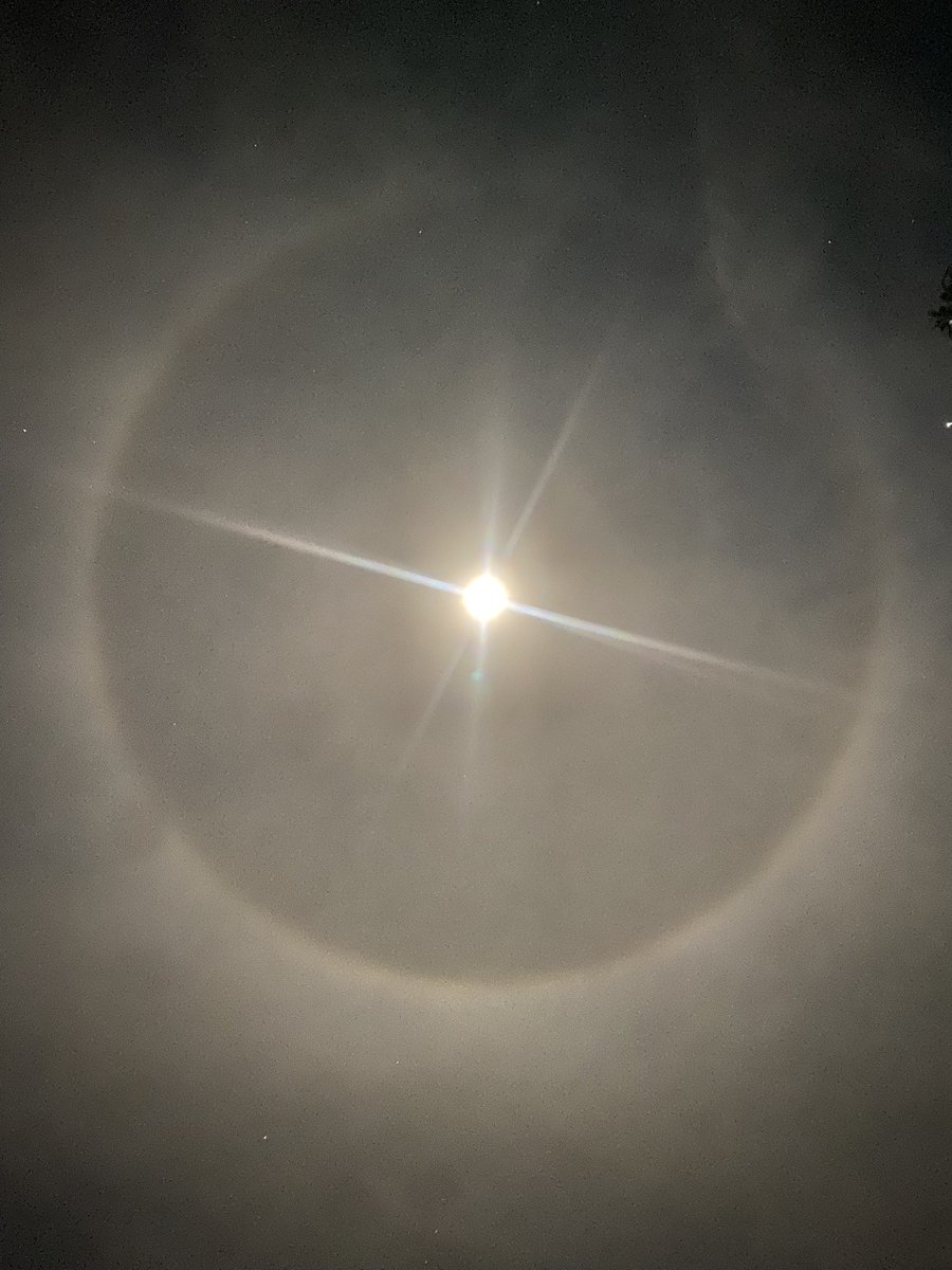 djbosu's tweet photo. @dailydoseofadi 😳 🛸 https://t.co/U8D4x4JWoF