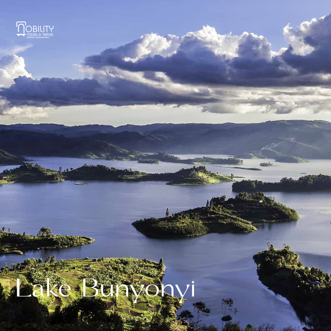 NobilityTourstr's tweet photo. Surrounded by fresh water bodies Uganda harbors the most of the rarest bird species. These are the top Lakes that attract a number of bird species. https://t.co/l8SP4c59hV