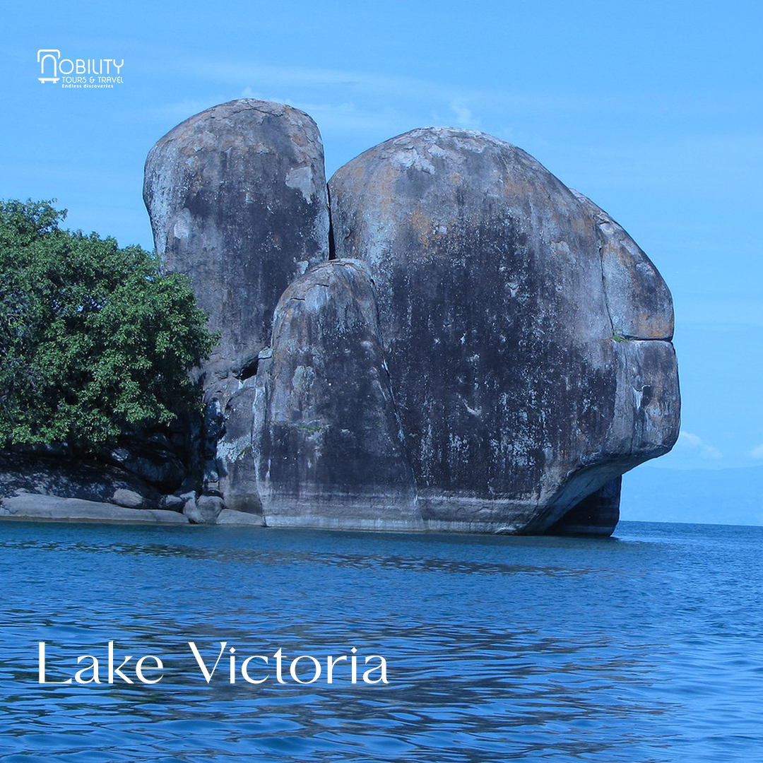 NobilityTourstr's tweet photo. Surrounded by fresh water bodies Uganda harbors the most of the rarest bird species. These are the top Lakes that attract a number of bird species. https://t.co/l8SP4c59hV