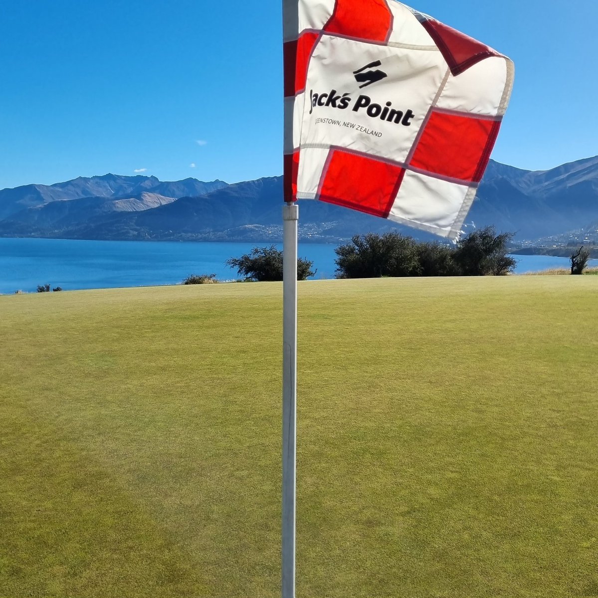 WillA6308's tweet photo. Jack's Point #jackspoint #golfnewzealand https://t.co/WikTwhp5my
