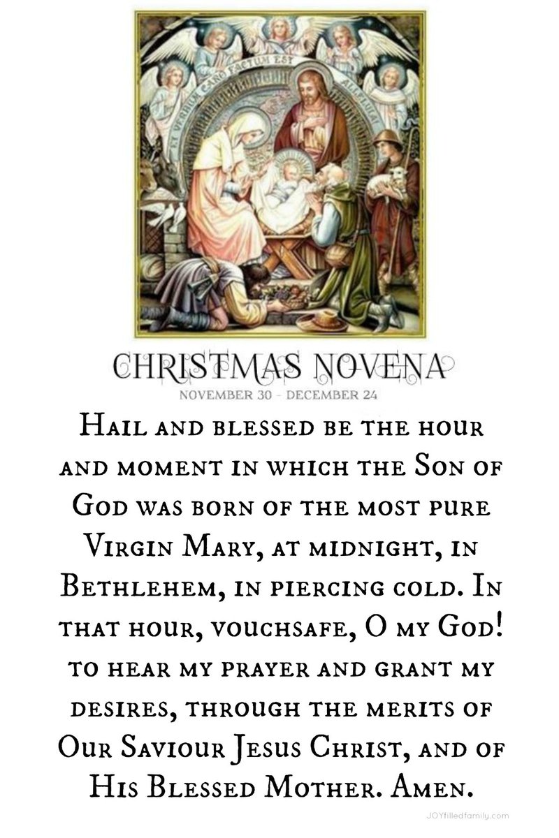 father_rmv's tweet photo. This Thursday, November 30, the Feast of St. Andrew the Apostle, begins the traditional Christmas Novena. https://t.co/NLRnvKyjwF