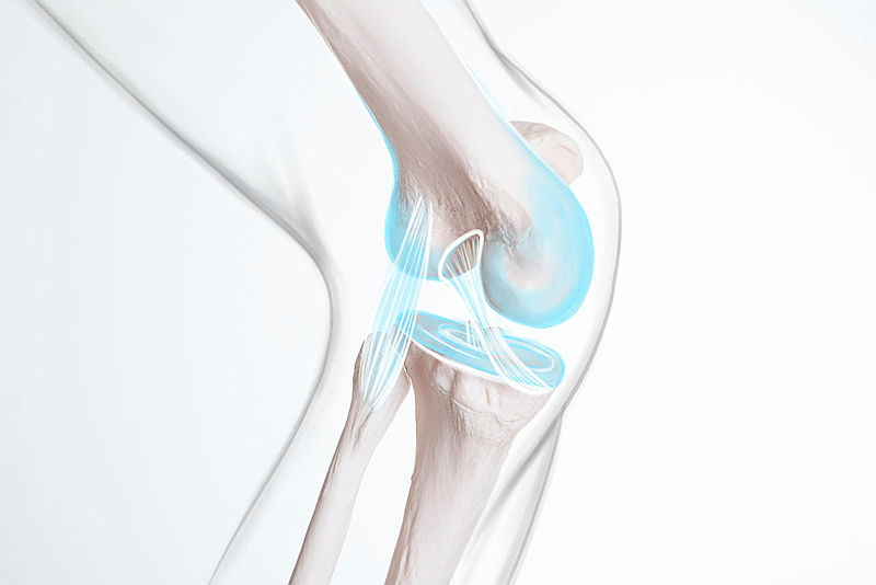 A comparison of skin temperature changes around the knee when using cryo-compression devices. The CryoSkinTempRCT study registered at #ISRCTN by <a href="/NativeKnee/">James Belsey</a>

isrctn.com/ISRCTN51736090

#clinicaltrials