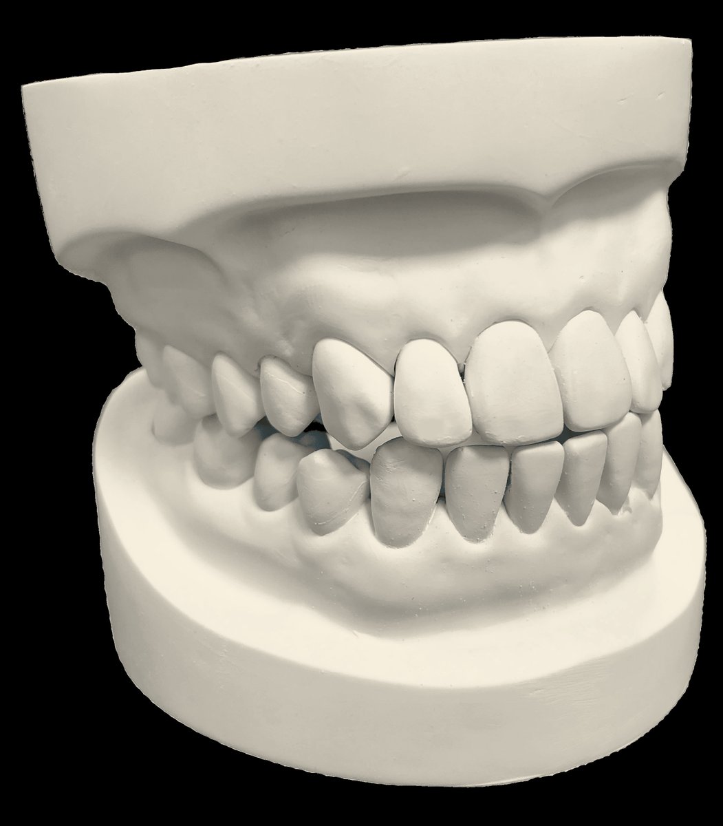 OBGGmbH's tweet photo. Die gesamte OBG GmbH wünscht Euch/Ihnen einen schönen und erfolgreichen Wochenstart. 😉

#dentalgips #obggmbh #zahntechnik #dentallabor #modellherstellung https://t.co/uSoacvWeGY