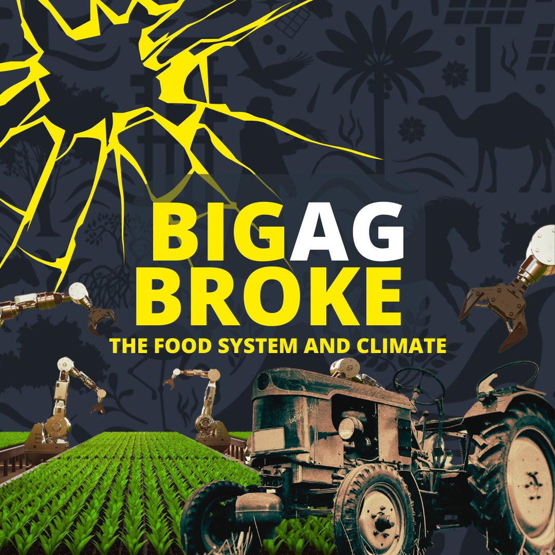 landcoalition's tweet photo. 🚨 #BigAg broke the #foodsystem … but a climate-healing one is possible.
💪The real #ag_experts are prepared for #COP28. Are you?
Follow us for solutions from the #frontlines of the #climatecrisis, from smallholders, family farmers, and pastoralists.
#LandRights4Climate https://t.co/ZtuM7y3s7o