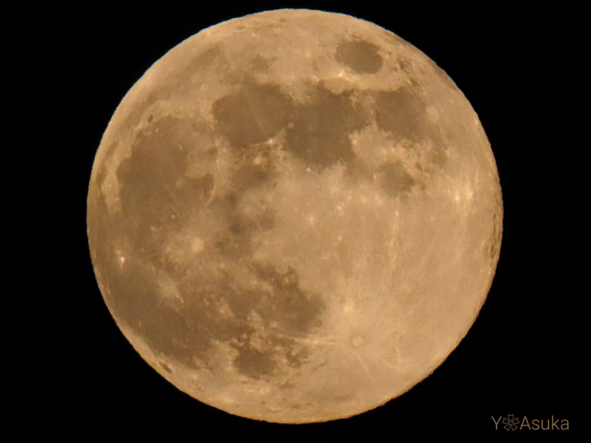 yumeasutw's tweet photo. #月 が綺麗です🌕️✨
お疲れ様です🏁
穏やかな夜の始まり🌃✨
北東の空にオレンジの
#十五夜月 (月齢13.9)が
昇っています🌕️✨
※ #満月 は18時16分です。
#イマツキ #いまつき
#moon
#十五夜
#お月見わっしょい!
#夜空 #宙の名前
#天気の図鑑 #気象のはなし
#月が好き
#a2023 #a1127 #a202311 https://t.co/fRasxqSG25