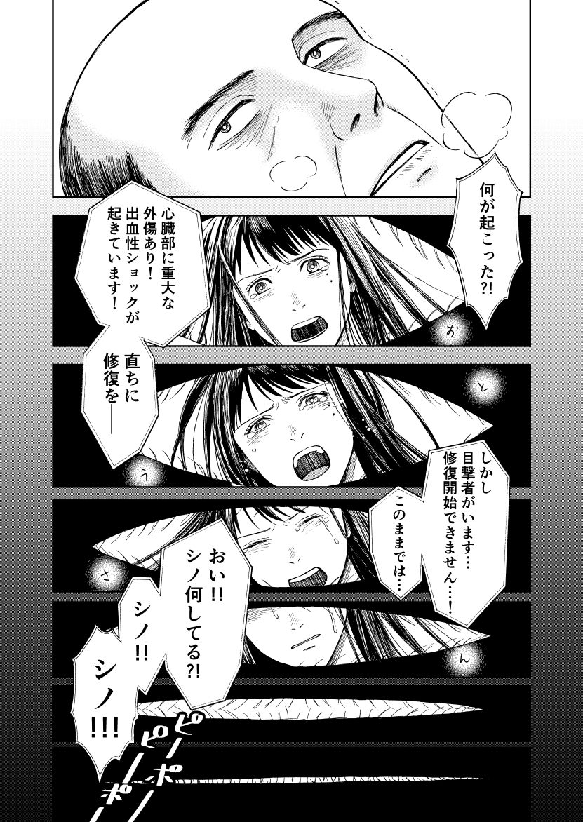 (11/12)