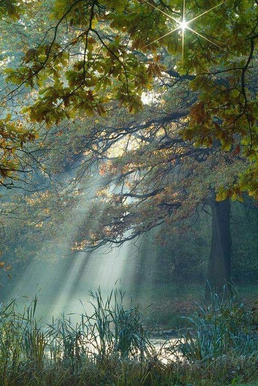 pericarla's tweet photo. Ciascuno di noi ha un angolo segreto dove rifugiarsi quando le piogge flagellano…
È un luogo nascosto nel cuore dove risiedono i desideri e i sogni,dove è possibile immaginare, sopportare le avversità,aprire l’animo al sorriso.
R. Battaglia
#TraMondiPossibili 
#VentagliDiParole https://t.co/kZkTEruJu3
