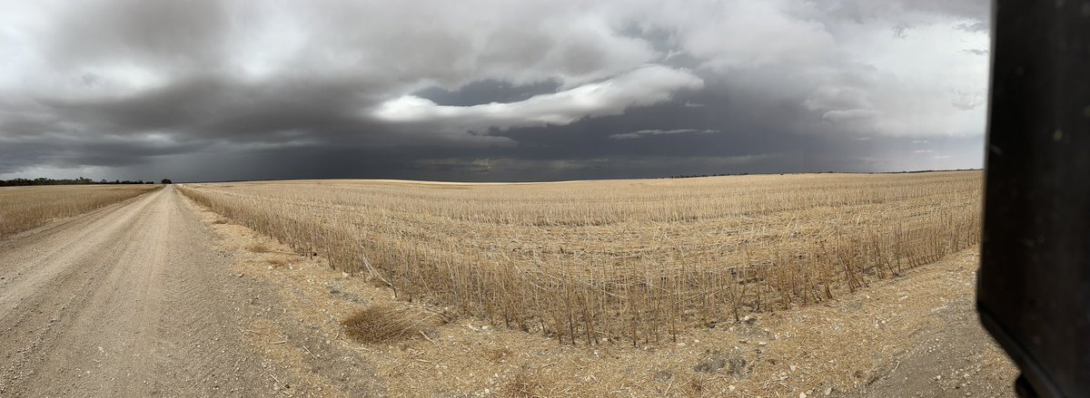 Luke Moroney tweet media