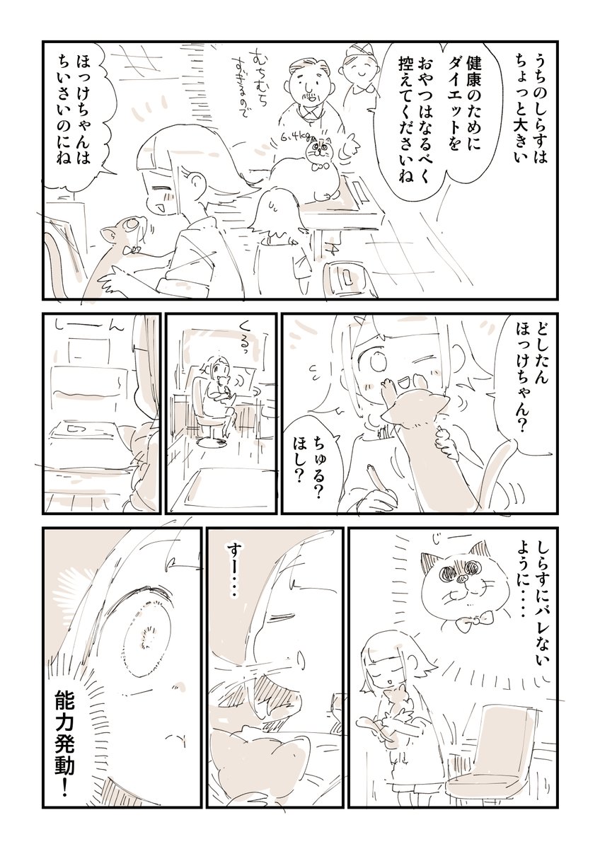 【お悩み相談】 しらすがこんな状態で困ってます。 なんでわかるの? 気でも感じ取ってるの? おかしいよね?なんで?  どんなだけ気配を消しても絶対気づかれる。 匂いか?  寝てるときだろうと、、、 遠くでくつろいでるときだろうと、、、、  ちゅーるに対する感度が高すぎて毎回バレてる。  お願いです。  だれかしらすにバレずにほっけちゃんにだけおやつをあげるための知恵をください。 けっこう切実です・・・・・・・