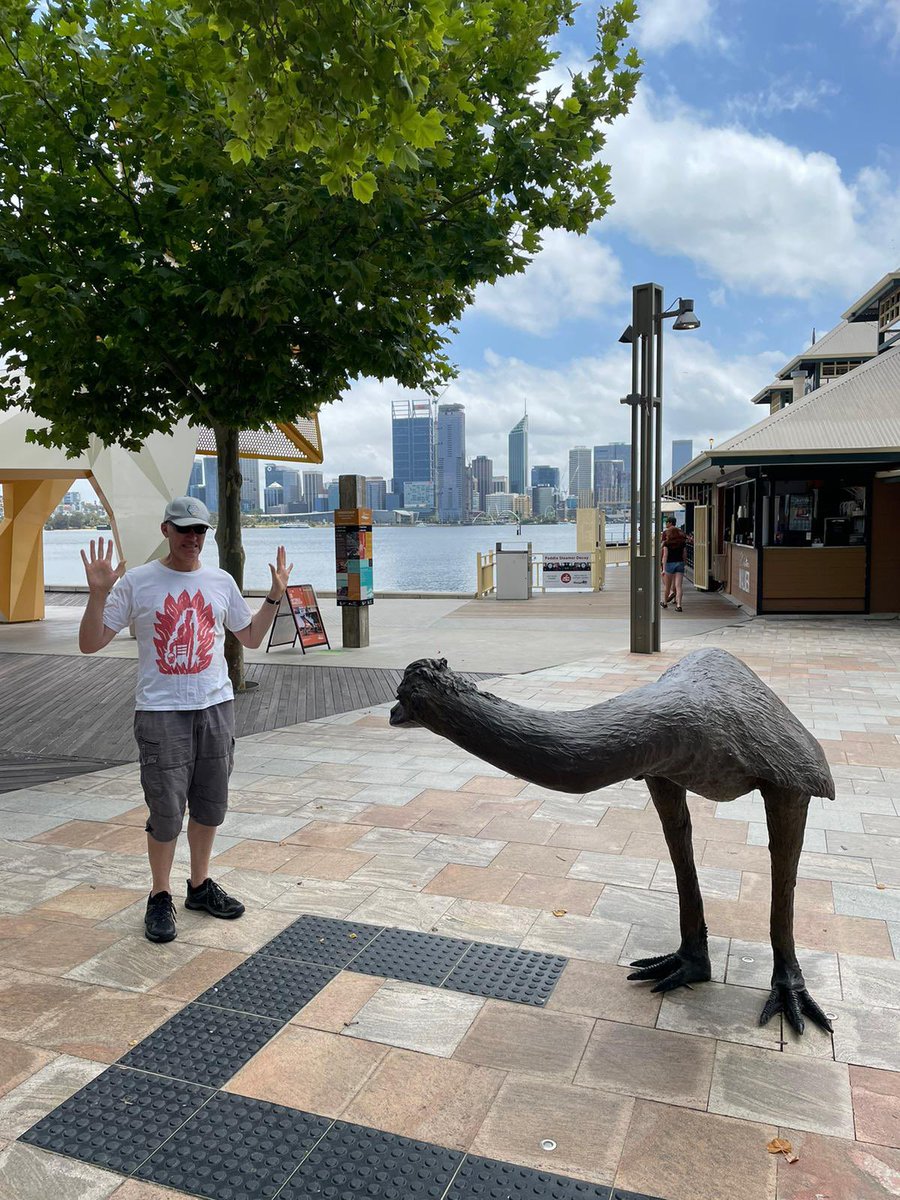 The emus of Western Australia will never forget the Great Emu War… #RIHLive