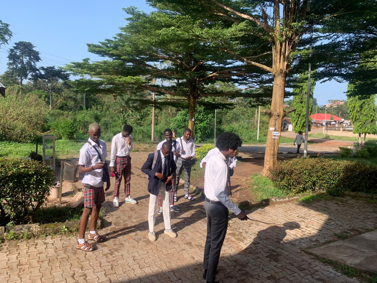 weird damilare tweet media