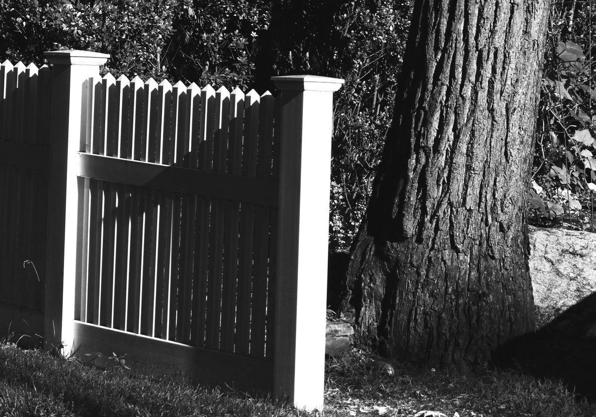 thejourneypwp's tweet photo. SEEKING BALENCE
Windsor Heights, IA (2018)
copyright © Peter Welch
#nftcollectors #NFTartwork #peterwelchphoto #thejourneypwp #blackandwhitephotography #photography #blackandwhite #Iowa #iowahawkeyes #DesMoines #WindsorHeights #picketfence #balence #tree #tranquility #IA #peace https://t.co/AUegvXbcKR