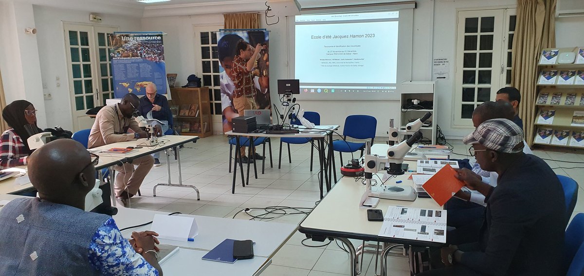 C'est parti ! L'école d'été Jacques Hamon est lancée. Une semaine intense de #training en #taxonomie des #moustiques 🦟🦟🦟 avec @NMoiroux et <a href="/costantini_ird/">Carlo Costantini</a> à la représentation <a href="/ird_fr/">IRD.fr</a> au Sénégal. <a href="/MIVEGEC/">MIVEGEC</a>