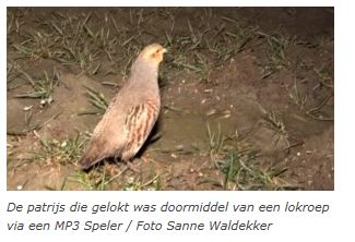 Woensdagavond 29/11 Inspiratieavond patrijs voor iedereen die boerenlandvogels in Hoeksche Waard een warm hart toedraagt, HW boeren en andere vogelliefhebbers. Plaats: NLC Veerweg 1C Numansdorp.  Aanvang 19.30. Aanmelden niet nodig maar wel prettig  j.zevenbergen@rietgorsinfo.nl