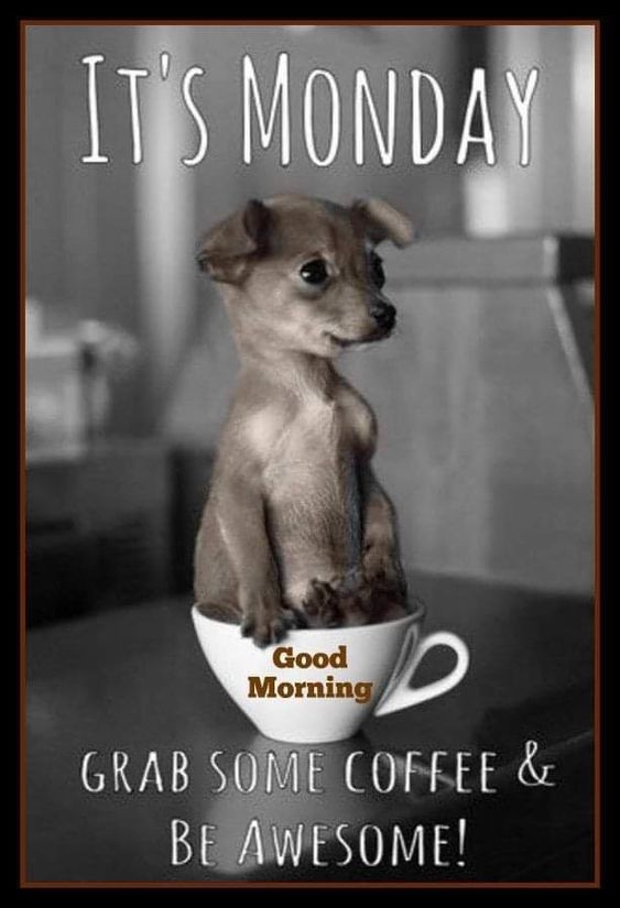 foreverRaven99's tweet photo. Good morning everyone ☕️☕️
Happy Monday beautiful people 🥰
Hope you have an awesome week 🖤🖤😁✌️ https://t.co/JiUpj8aBkh
