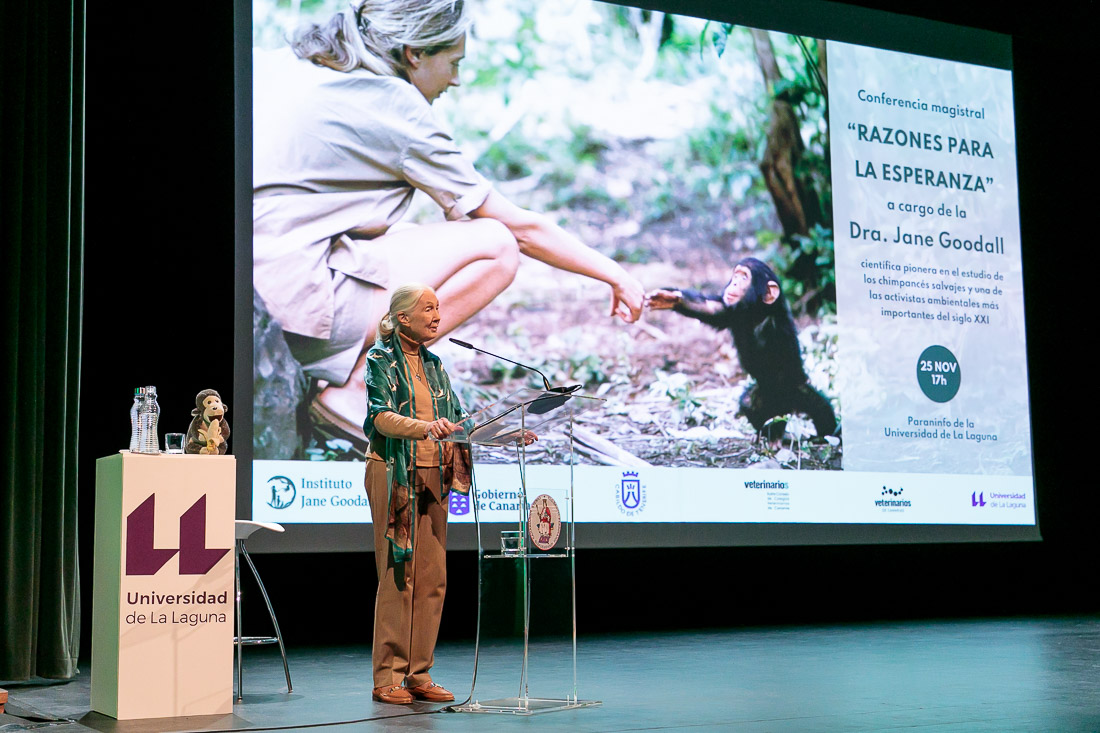 ULL's tweet photo. 🔬 El pasado sábado la #ULL acogió la conferencia magistral de la etóloga Jane Goodall.

Si no pudiste verla en directo, ¡aquí tienes los enlaces para que puedas disfrutarla cuando quieras! 👇

Español 🔈 https://t.co/8qapFDXlFl
Inglés 🔈 https://t.co/noZmCyABsK https://t.co/JUNLKvf4og