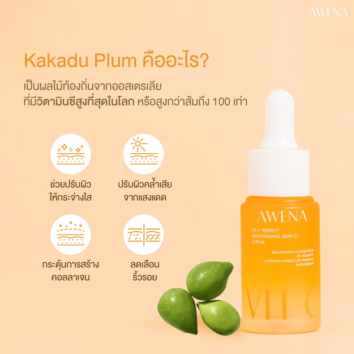 AwenaSkin's tweet photo. Kakadu plum🍐 คืออะไร? ดีกับผิวเรายังไงบ้าง🤔
 ✔️ ช่วยปรับผิวกระจ่างใส
✔️ ฟื้นฟูผิวที่คล้ำเสียจากแดด
✔️ ช่วยกระตุ้นการสร้างคอลลาเจน
✔️ ช่วยลดเลือนริ้วรอย

 ดีต่อผิวขนาดนี้ มีอยู่ใน Awena Vit C Serum แล้ว 🧡  

#AWENA #AwenaVitCSerum #เซรั่มวิตซี #เซรั่มอะวีน่า https://t.co/m579YSp8Um