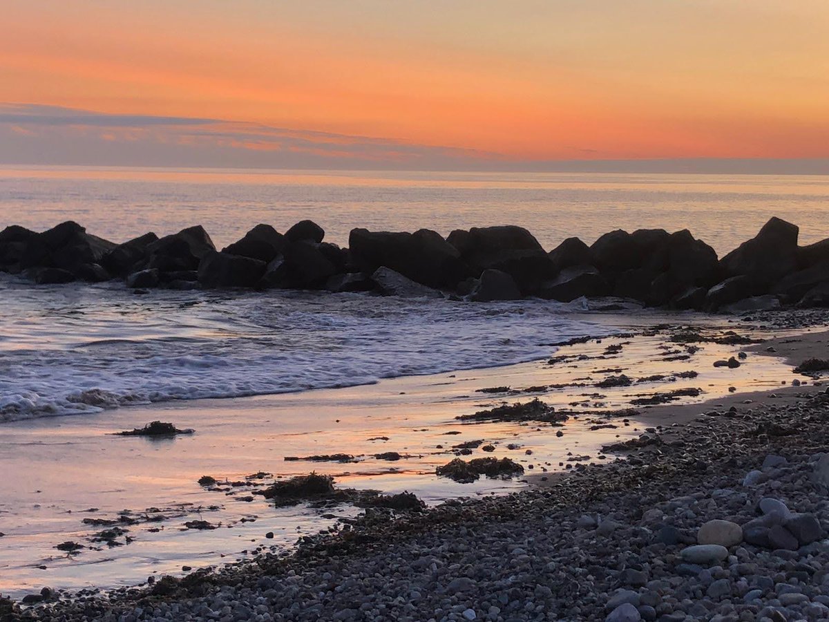 📢cool job alert!! 📢 Closing date 2 Jan 2024!! 📢Come and work with us here as a Lecturer in Conservation Science at Bangor University! 🌳🦋🐘🦆🐞 Check out bangor.ac.uk/sns/conservati… to find out about us, and the job advert is here jobs.bangor.ac.uk/details.php.en…