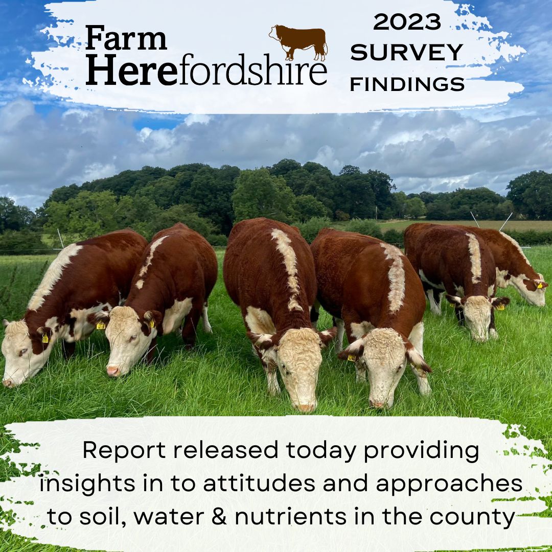 #2023Survey – The results are out! farmherefordshire.co.uk/?p=1759 @TheAHDB @CLAtweets @clamidlands @envagency @EnvAgencyMids @HfdsCouncil @Hfds_RuralHub @HerefordshireWT @NE_WestMids @NFUHfds @NFUWestMids @WUFoundation @WyeValleyNL #Herefordshire #RiverWye #Farming #Wye #meadows