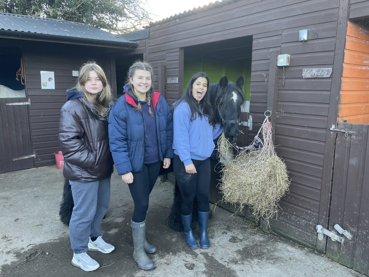kscEnrichment's tweet photo. In their final session at @Cheshire_Horses, our Upper Sixth said their goodbyes to their new friends on Friday 🐴😢 @kingschester https://t.co/mmvtVSGHiF