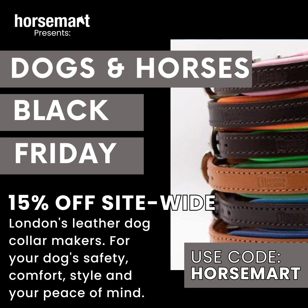 It's Cyber Monday and it's time for an exclusive offer! Treat your dog to an upgraded look with some beautiful leatherwork from Dogs &amp; Horses. Shop the 15% off here - post.horsemart.co.uk/t/2VRK-1FOVS-1…