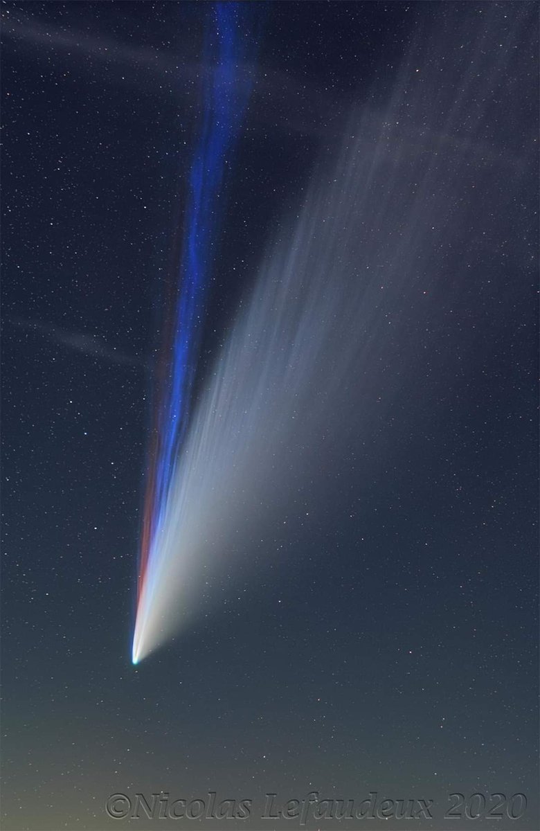 Amazing_Xpace tweet picture