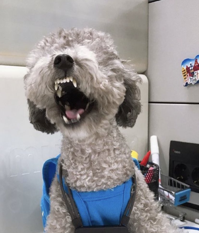 태연 연차가 있는데 이제 성적에 연연하기보다는 즐기면서 하자

이딴 개소리하지마라!!! 총력을 다해라!!!
성적에 ㅈㄴ 연연하자!!! ㅈㄴ 성적이 중요함
이번이 마지막인거 처럼 팬질해라!!!
태연에 어울리는 팬화력을 보여주자!!!