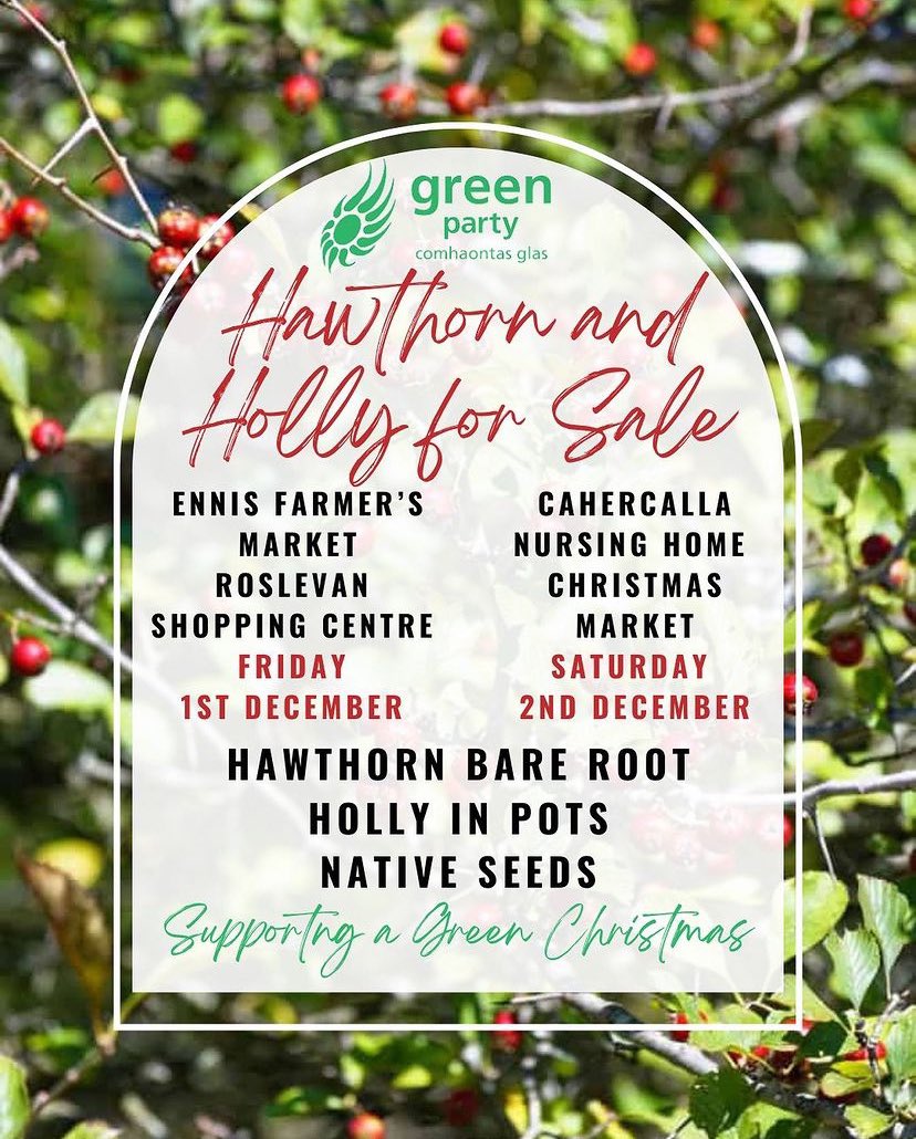 Give a green gift this Christmas.