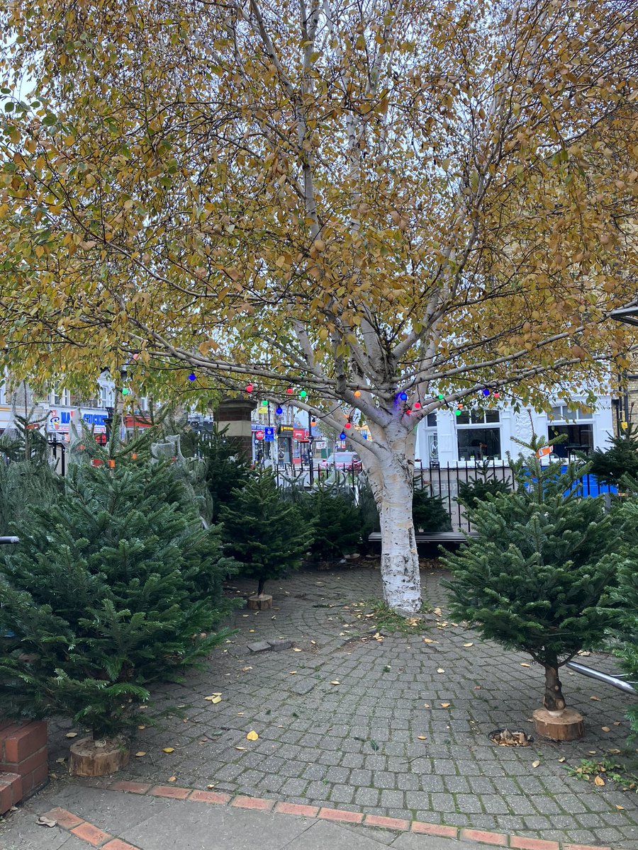 JaneCanDoSE4's tweet photo. Great news @clickmastrees are back @Eco_CP_Library out on the front area-open 7 days a week selling Xmas trees 🌲🎄🌲🎄of all sizes-FREE delivery 🚚 if within one mile radius #PopDown #SUPPORT https://t.co/ix3S8Hz6q1